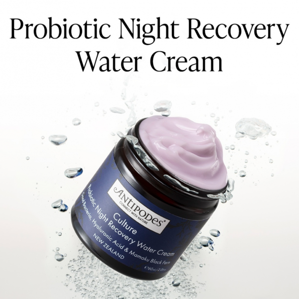 Culture Probiotic Night Recovery Water Cream