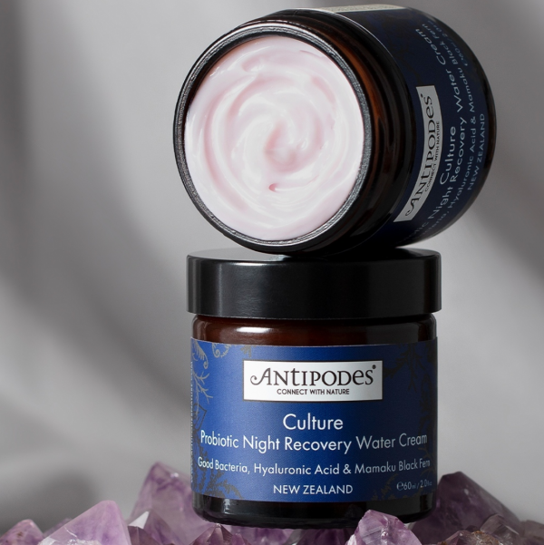 Culture Probiotic Night Recovery Water Cream