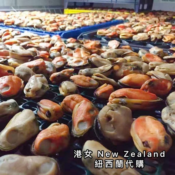 紐西蘭綠邊青口乾 Dried Green Lipped Mussel 500g - Image 3